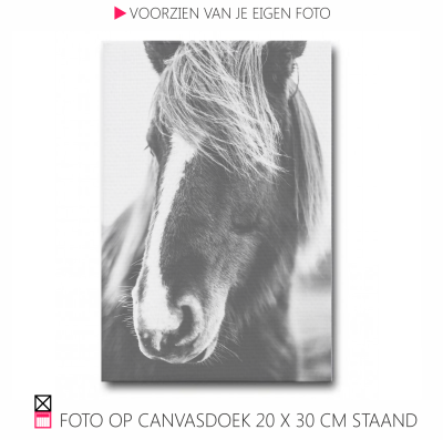 Happy Canvasdoek interieur horse black and white photo pferde pony foto happy stable