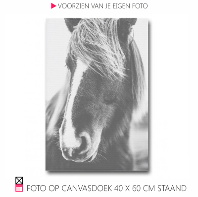 Happy Canvasdoek interieur horse black and white photo pferde pony foto happy stable