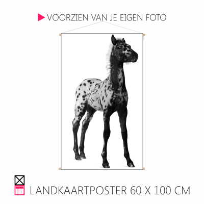 Happy Landkaartposter textielposter leuk voor aande wand paard pony hond rhodesian ridgeback veulen shetty shetlander pony cob horse pferde happy stable oprolbaar houten stokjes