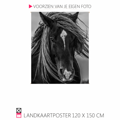 Happy Landkaartposter textielposter leuk voor aande wand paard pony hond rhodesian ridgeback veulen shetty shetlander pony cob horse pferde happy stable oprolbaar houten stokjes