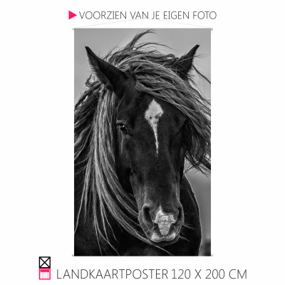 Happy Landkaartposter textielposter leuk voor aande wand paard pony hond rhodesian ridgeback veulen shetty shetlander pony cob horse pferde happy stable oprolbaar houten stokjes